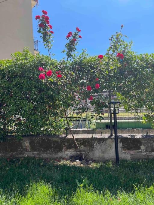 Casa Ale 5 Terre Guest House Con Giardino La Spezia Eksteriør bilde